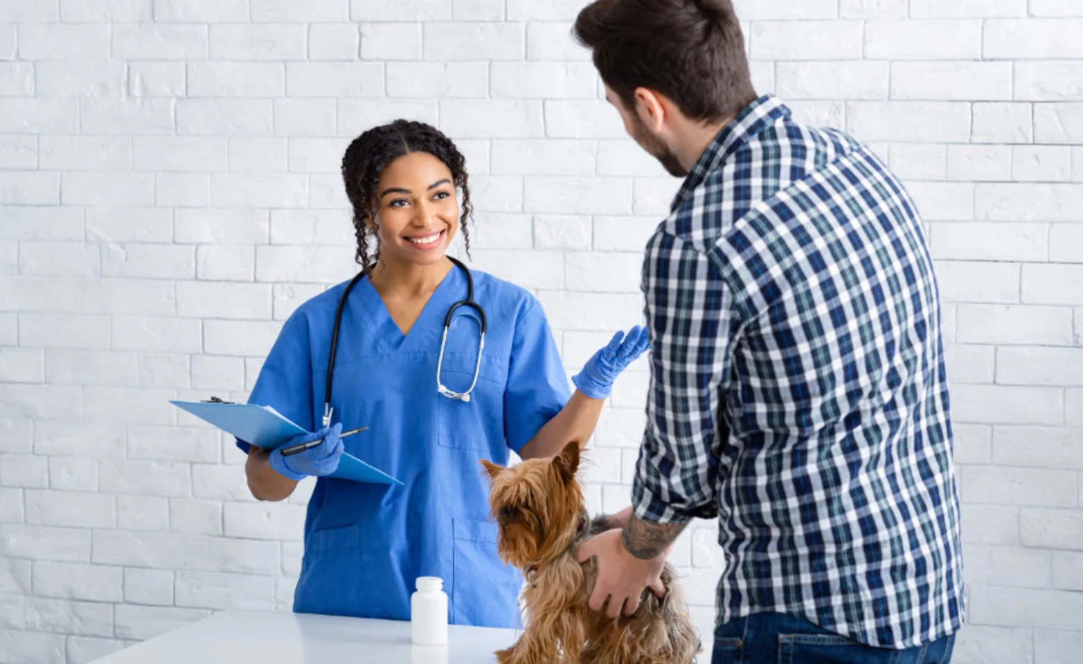 Veterinarian Talking to Client and Dog